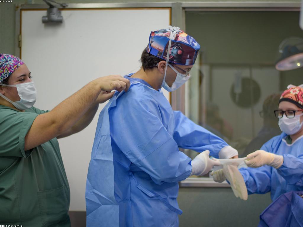 ααΆαααααΎααααΆααααααΉαααα·ααΆααααα·ααααααα»αααΆαααααΆαααΆαα·ααααααα