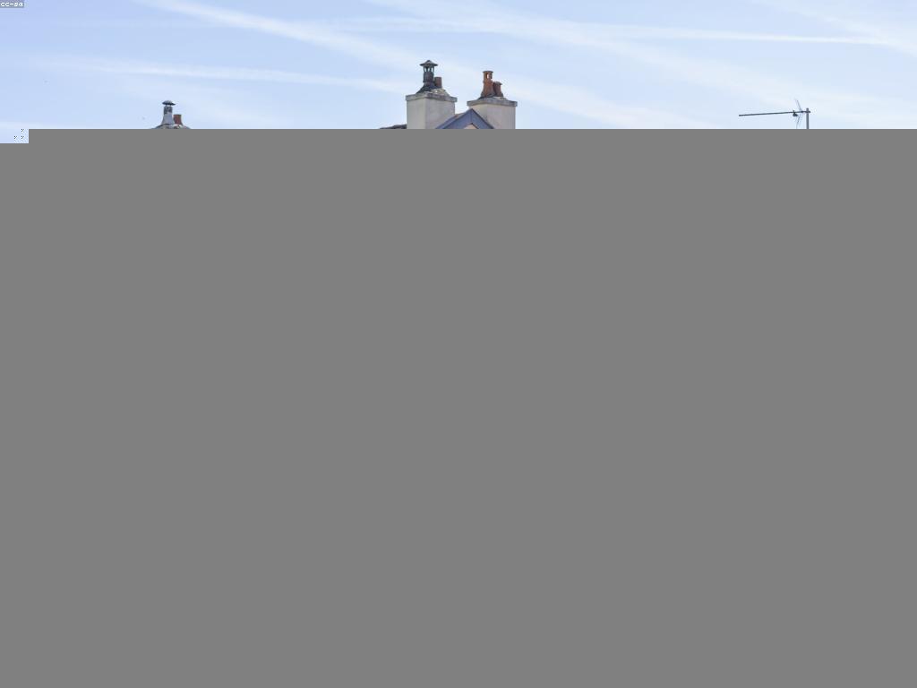 ការយល់ដឹងអំពីព័ត៌មានក្រុមហ៊ុន